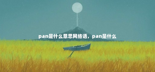 pan是什么意思网络语，pan是什么
