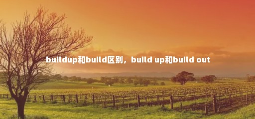 buildup和build区别，build up和build out