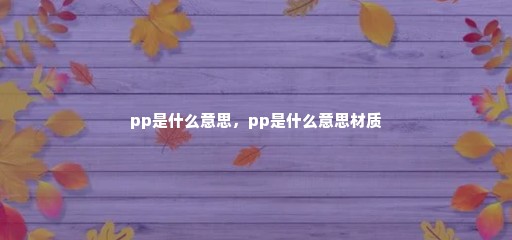 pp是什么意思，pp是什么意思材质