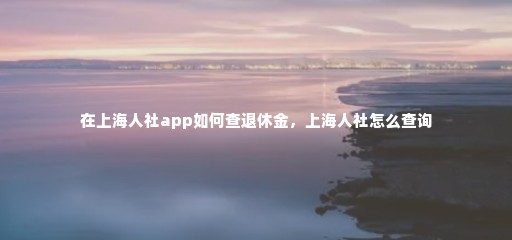 在上海人社app如何查退休金，上海人社怎么查询