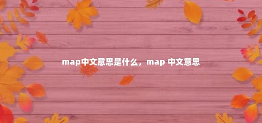 map中文意思是什么，map 中文意思